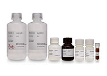 Sera-Xtracta™ HMW DNA kit